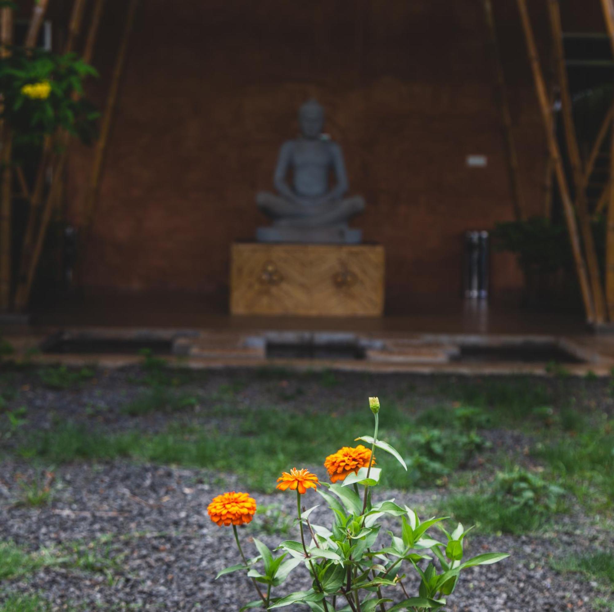 Hanchey Bamboo Resort Кампонг Чам Екстериор снимка